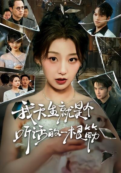 我天生就是个听话的一根筋 第39集