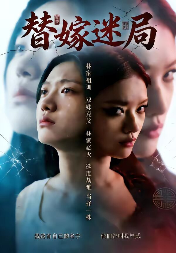 替嫁迷局 第19集